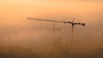 Zwei Kräne im Nebel bei Sonnenaufgang